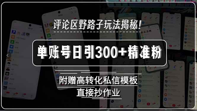 (15466期)评论区野路子玩法揭秘!单账号日引300+精准粉,附赠高转化私信模板,直…-优优云网创