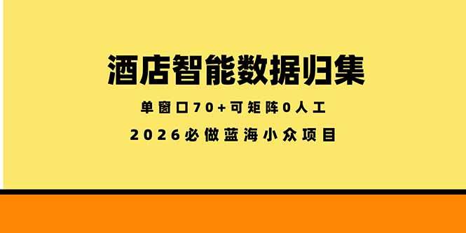 （18500期）酒店智能数据归集，小众蓝海已经稳定半年之久，单窗口70+零成本矩阵开干-优优云网创