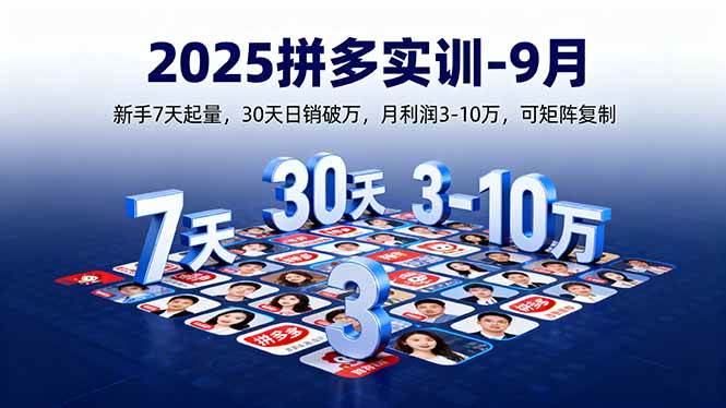 （16008期）2025拼多多实训-9月：新手7天起量,30天日销破万,月利润3-10万,可矩阵复制-优优云网创