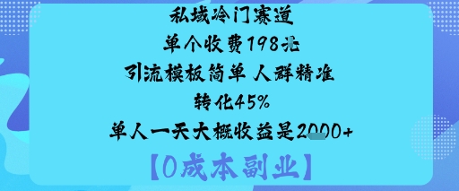 私域冷门赛道:单个收费198米引流模板简单人群精准转化45%单人一天大概收益是1k+-优优云网创