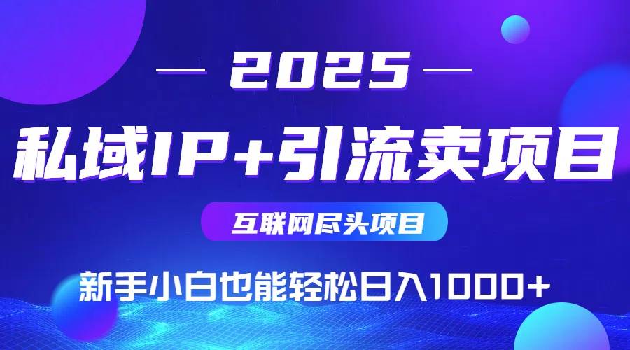 （15531期）2025网创尽头项目，私域IP+引流，新手小白也能在家日入1000+-优优云网创