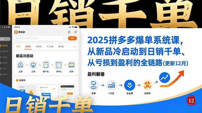 （16894期）2025拼多多爆单系统课，从新品冷启动到日销千单、从亏损到盈利的全链路（更新12月）-优优云网创