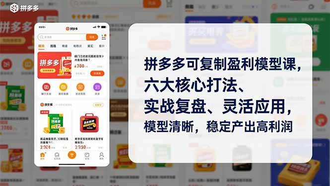 （16952期）拼多多可复制盈利模型课，六大核心打法、实战复盘、灵活应用，模型清晰，稳定产出高利润-优优云网创