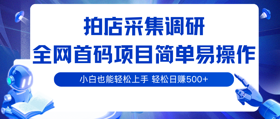 拍店采集调研，全网首码项目，简单易操作， 小白也能轻松上手，轻松日赚500+-优优云网创