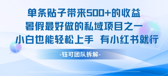 单条贴子带来5张的收益，暑假最好做的私域项目之一，小白也能轻松上手，有小红书就行-优优云网创
