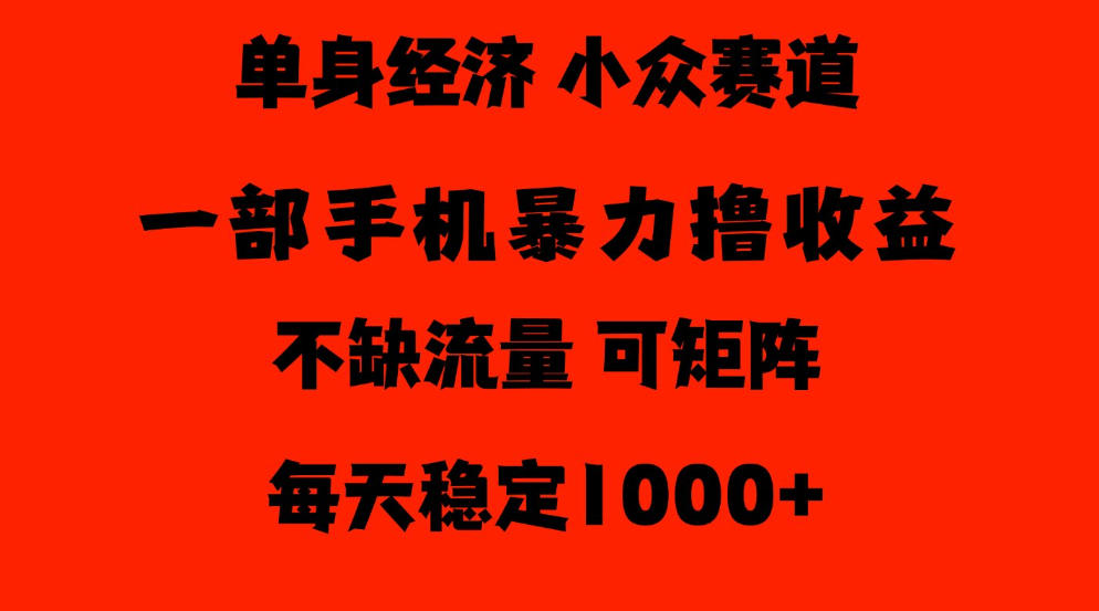 26年暴力单身经济，稳定日入500-1k，不缺流量，流量极大，冷门小众赛道，门槛低小白轻松上手【揭秘】-优优云网创