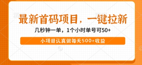 最新首码项目，操作最简单，收益高，一键拉新，1个小时单号可50+，小项目认真做每天5张+收益【揭秘】-优优云网创