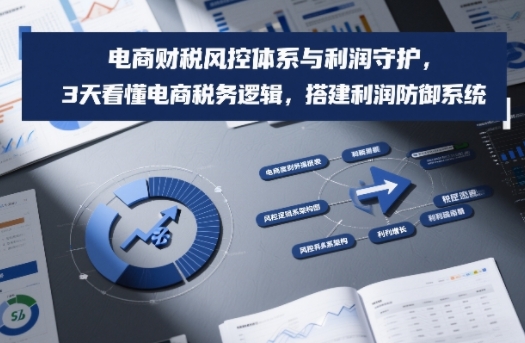 电商财税风控体系与利润守护,3天看懂电商税务逻辑,搭建利润防御系统-优优云网创