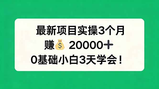 （17856期）最新项目实操3个月，赚钱20000+，0基础小白3天学会！-优优云网创