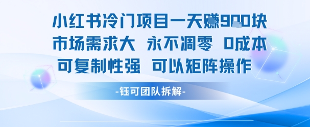 小红书冷门项目一天收益9张,市场需求大,0成本,可复制性强可以矩阵操作-优优云网创