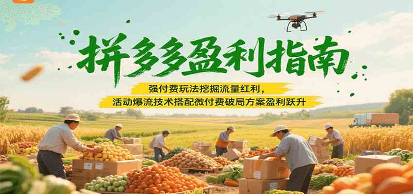 拼多多盈利指南：强付费玩法挖掘流量红利，活动爆流技术搭配微付费方案实现盈利跃升-优优云网创