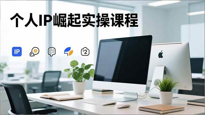 （16616期）个人IP崛起实操课程，IP思维塑造+赛道精准调研+账号高变现搭建+内容创作-优优云网创