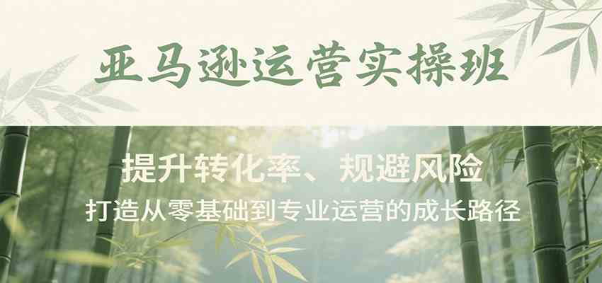 亚马逊运营实操班,提升转化率、规避风险,打造从零基础到专业运营的成长路径-优优云网创