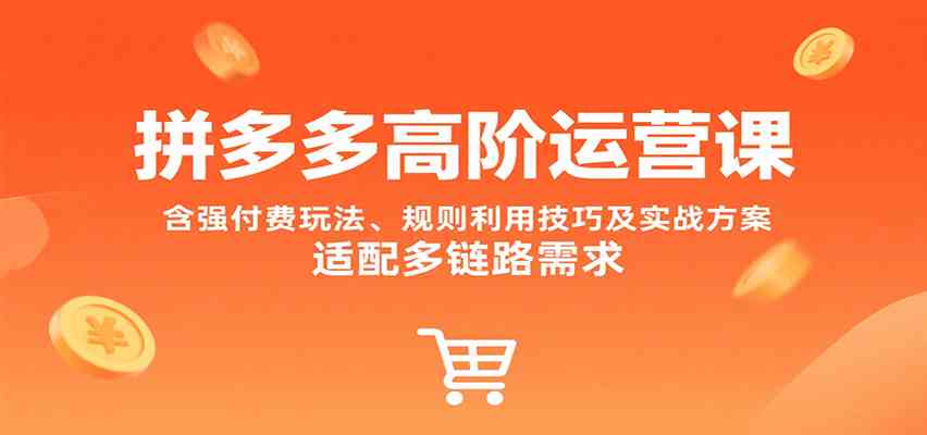 拼多多高阶运营课,含强付费玩法、规则利用技巧及实战方案,适配多链路需求-优优云网创
