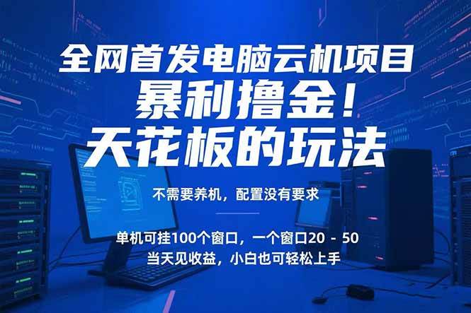 （15323期）电脑云机项目 暴力撸金玩法，不需要养机 配置没有要求 单机100个窗口一…-优优云网创