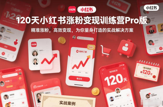 120天小红书涨粉变现训练营Pro版，精准涨粉，高效变现，为你量身打造的实战解决方案-优优云网创