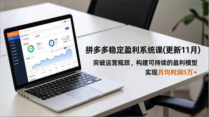 （16641期）拼多多稳定盈利系统课(更新11月)，突破运营瓶颈，构建可持续的盈利模型，实现月均利润5万+-优优云网创