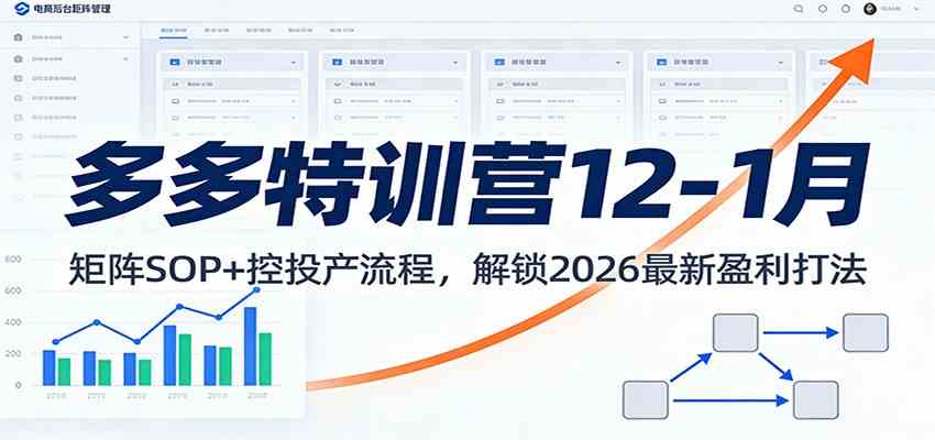 多多特训营12-1月:矩阵SOP+ 控投产流程,解锁2026最新盈利打法-优优云网创