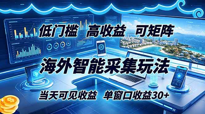 （18955期）海外智能采集玩法，低门槛高单价可矩阵，当天可见收益，单窗口30+-优优云网创