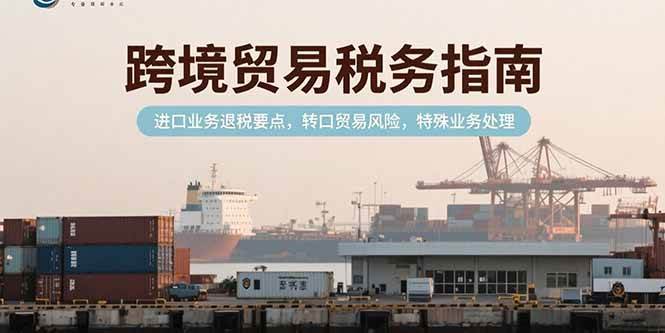 (15381期)跨境贸易税务指南,进口业务退税要点,转口贸易风险,特殊业务处理-优优云网创