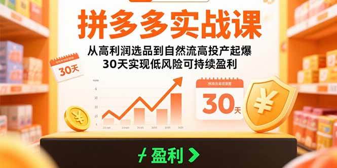 （15586期）拼多多实战课：从高利润选品到自然流高投产起爆 30天实现低风险可持续盈利-优优云网创