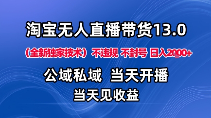 淘宝无人直播13.0，公域私域技术，不封号，不违规布局下半年旺季赛道，日入1K+（独家技术）【揭秘】-优优云网创