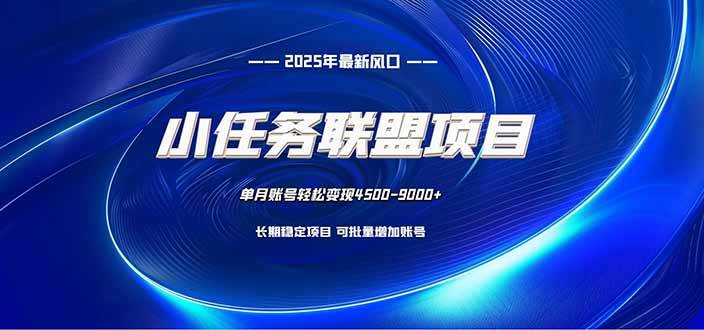 （16521期）小任务联盟项目：一台电脑每天只需10分钟，轻松简单稳定-优优云网创