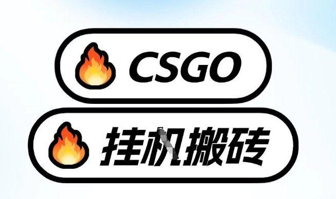 真全网独家CSGO挂G,最新玩法,单日捡漏1K+,不用电脑,不用打游戏【揭秘】-优优云网创