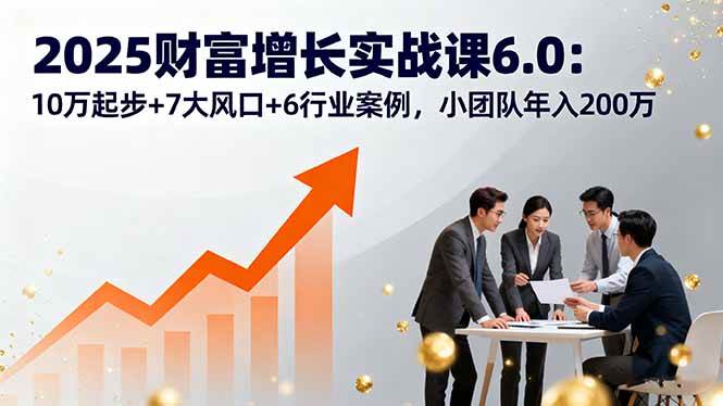 （16004期）2025财富增长实战课6.0：10万起步+7大风口+6行业案例，小团队年入200万-优优云网创