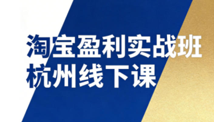 淘宝盈利实战班杭州线下课12月26-28日（音频+字幕），帮你掌握SOP流程+12门核心技术-优优云网创