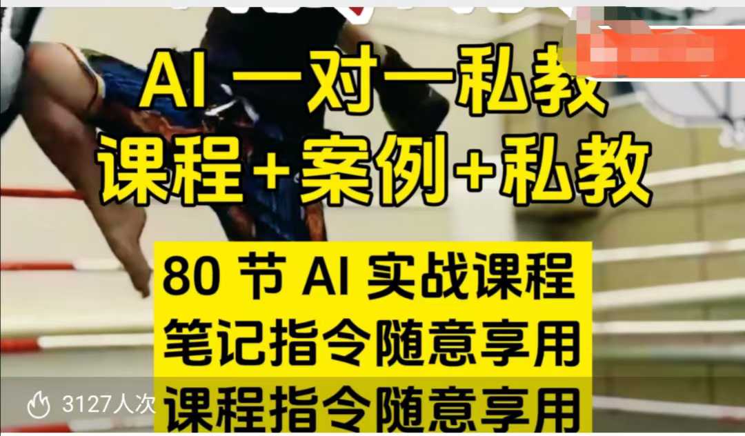 AI指令实战课，课程+案例，80节AI实战课程，笔记指令随意享用，课程指令随意享用（更新7月）-优优云网创