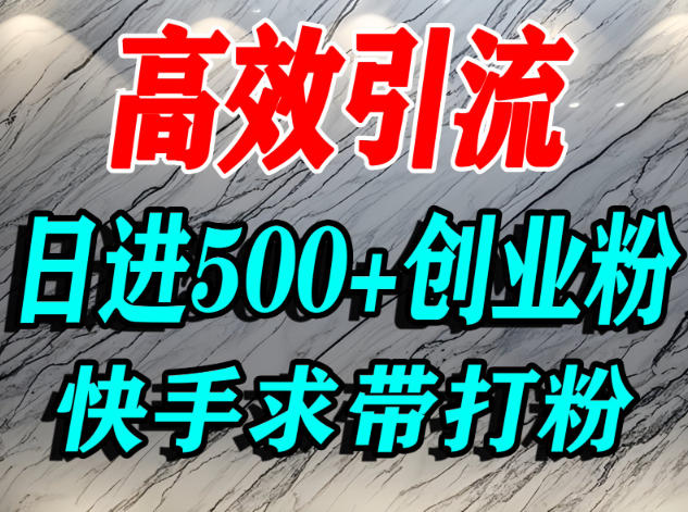 怎么打创业粉？快手求带视角精准引流创业粉，宝妈、学生群体日进500+精准流量-优优云网创