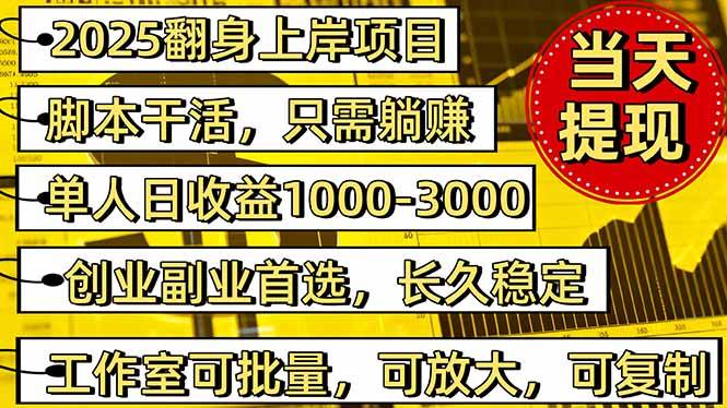（16501期）2025翻身上岸项目脚本干活，内部客户经理内部开号，单人日收益1000-300…-优优云网创