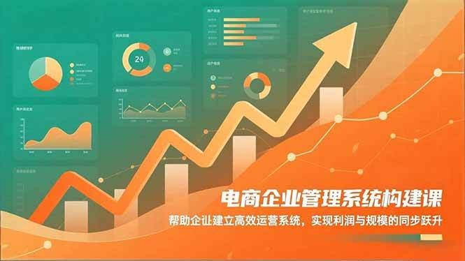 （16643期）电商企业管理系统构建课：帮助企业建立高效运营系统，实现利润与规模的同步跃升-优优云网创