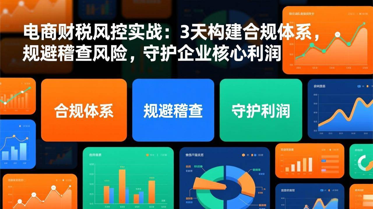 （17197期）电商财税风控实战：3天构建合规体系，规避稽查风险，守护企业核心利润-优优云网创