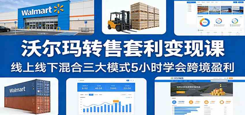 沃尔玛转售套利变现课：线上线下混合三大模式5小时学会跨境盈利-优优云网创