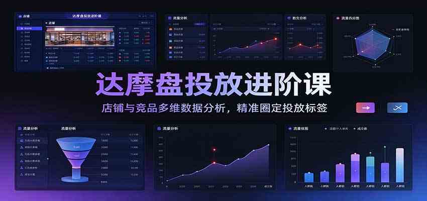 达摩盘投放进阶课：店铺与竞品多维数据分析，精准圈定投放标签-优优云网创