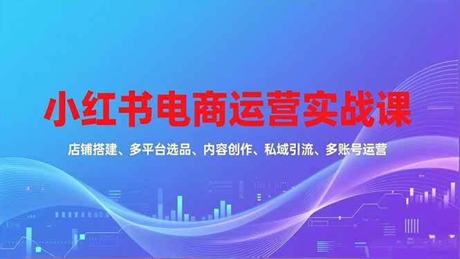 （16695期）小红书电商运营实战课，店铺搭建、多平台选品、内容创作、私域引流、多账号运营等玩法-优优云网创