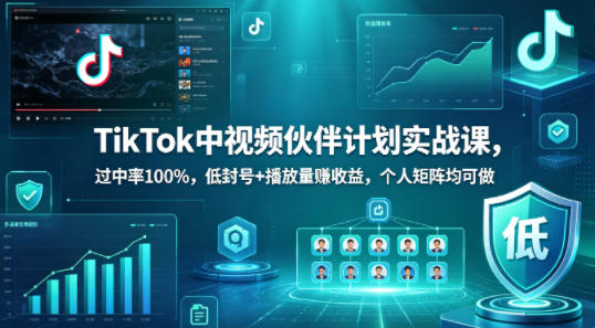 TikTok中视频伙伴计划实战课，过中率100%，低封号+播放量賺收益，个人矩阵均可做-优优云网创