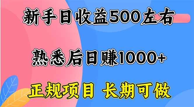 （16132期）新手日收益500+ 正规项目 长期可做-优优云网创