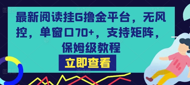 最新阅读挂G撸金平台，无风控，单窗口70+，支持矩阵，保姆级教程【揭秘】-优优云网创
