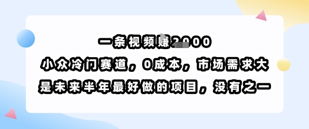 一条视频挣1k，小众冷门赛道，0成本，市场需求大，是未来半年最好做的项目，没有之一-优优云网创