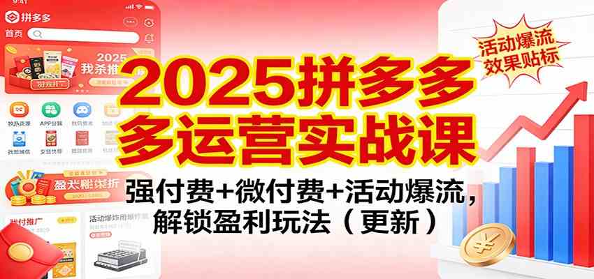 2025拼多多运营实战课：强付费+微付费+活动爆流，解锁盈利玩法（更新）-优优云网创